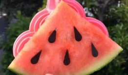 网红吃瓜车,揭秘网络红人背后的神秘生活