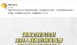 娱乐718吃瓜网址,吃瓜网站背后的热点追踪与娱乐资讯